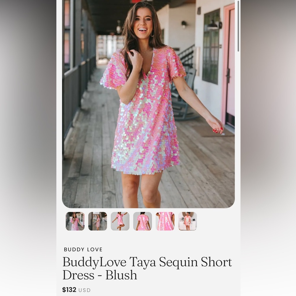 Buddy Love Blush Pink Sequin Mini Dress